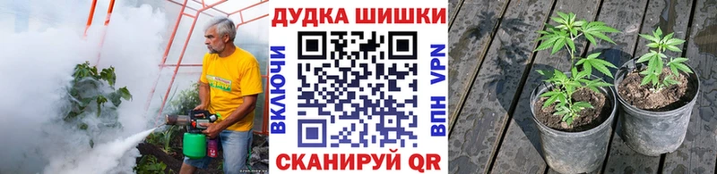Где купить Невельск omg как войти ГАШИШ Марихуана