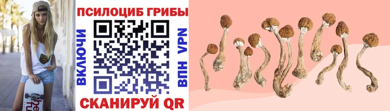 наркошоп  кракен зеркало  Галлюциногенные грибы Magic Shrooms  Невельск 